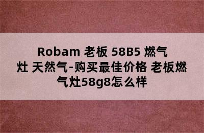 Robam 老板 58B5 燃气灶 天然气-购买最佳价格 老板燃气灶58g8怎么样